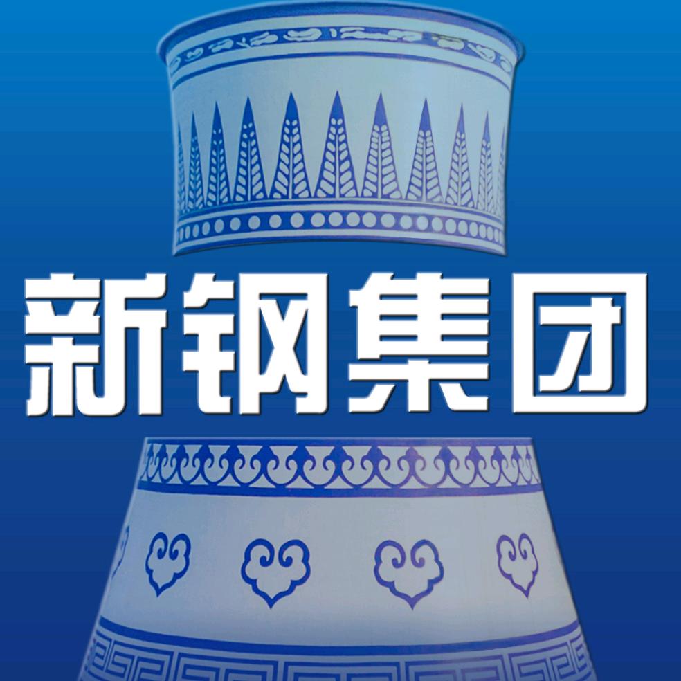 新余钢铁集团有限公司