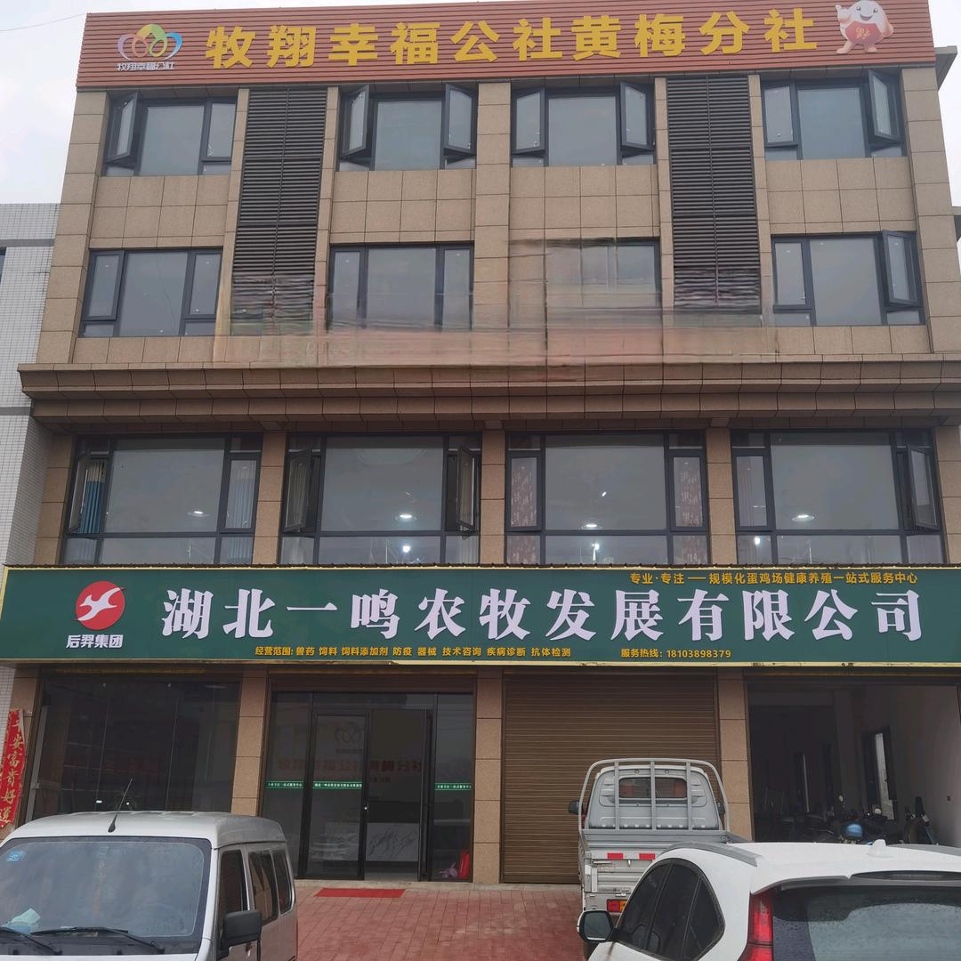 一鸣农牧 蛋鸡健康养殖管家