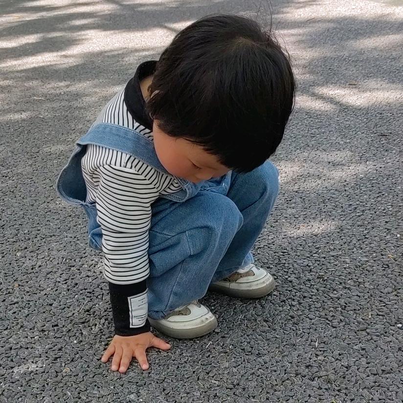 曦宝儿🌞