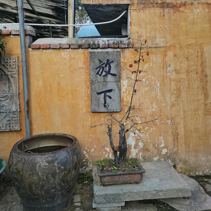 赐伤