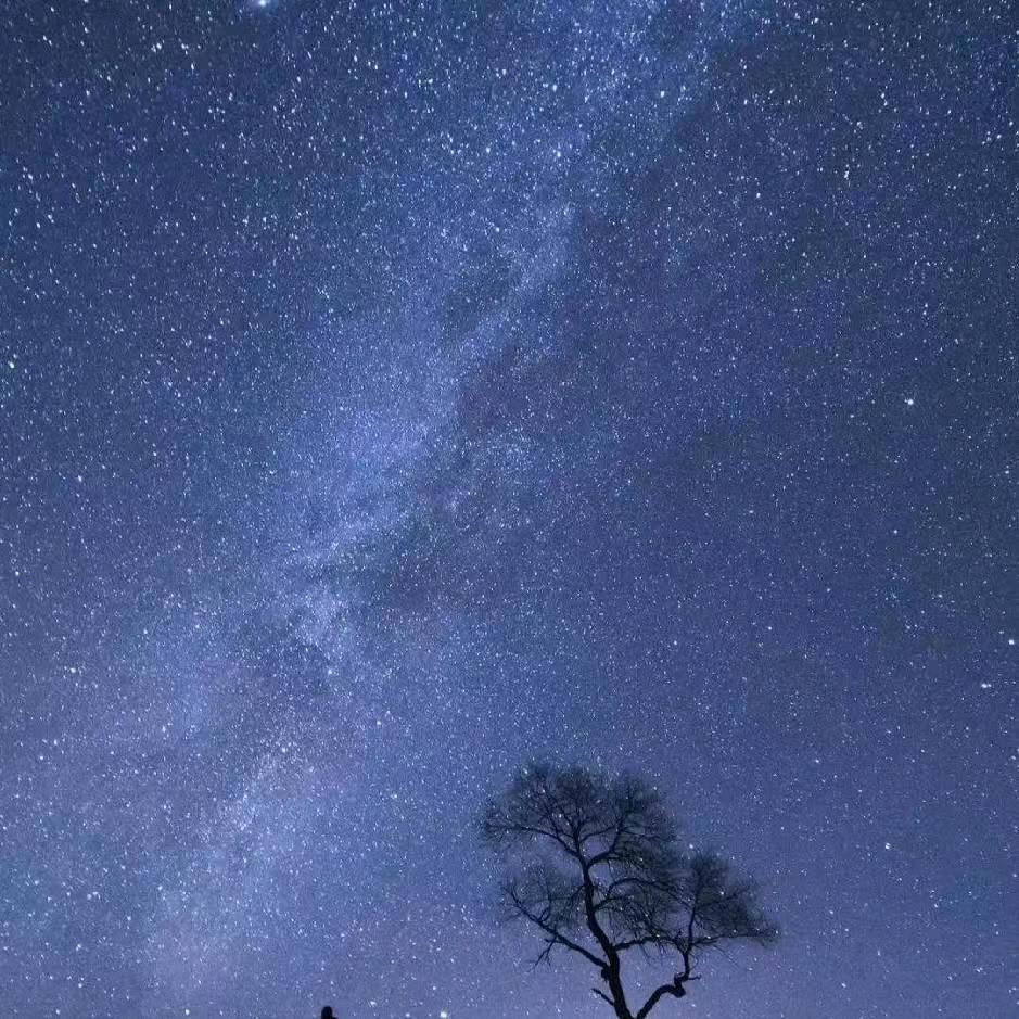 虎 哥 煤炭贸易