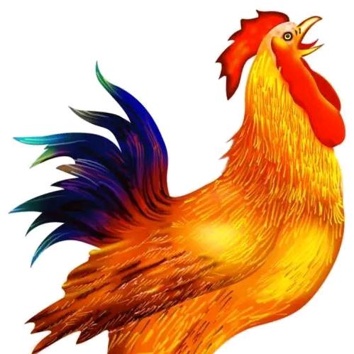 付先生论生肖-鸡