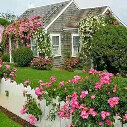 爱江山更爱美人