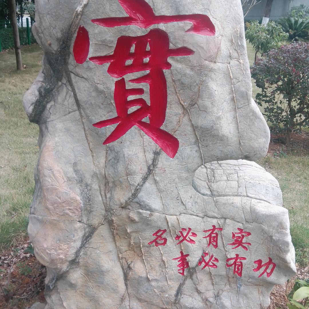 七月香草