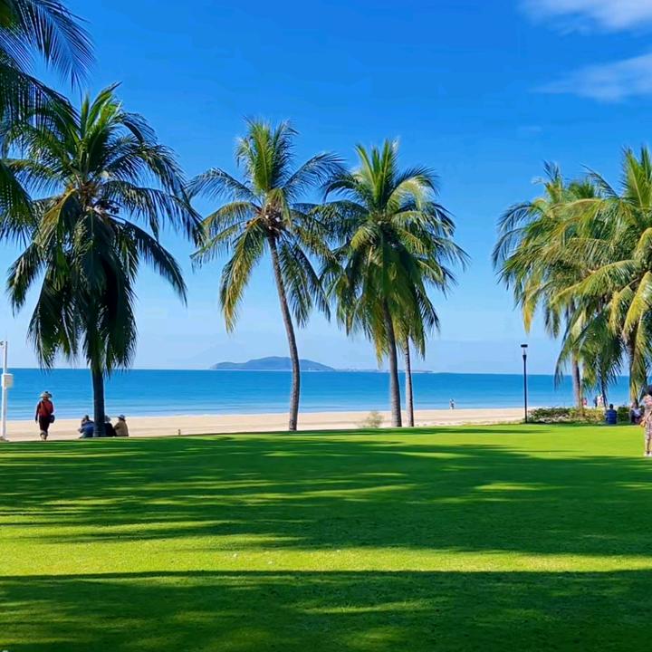 an波哥