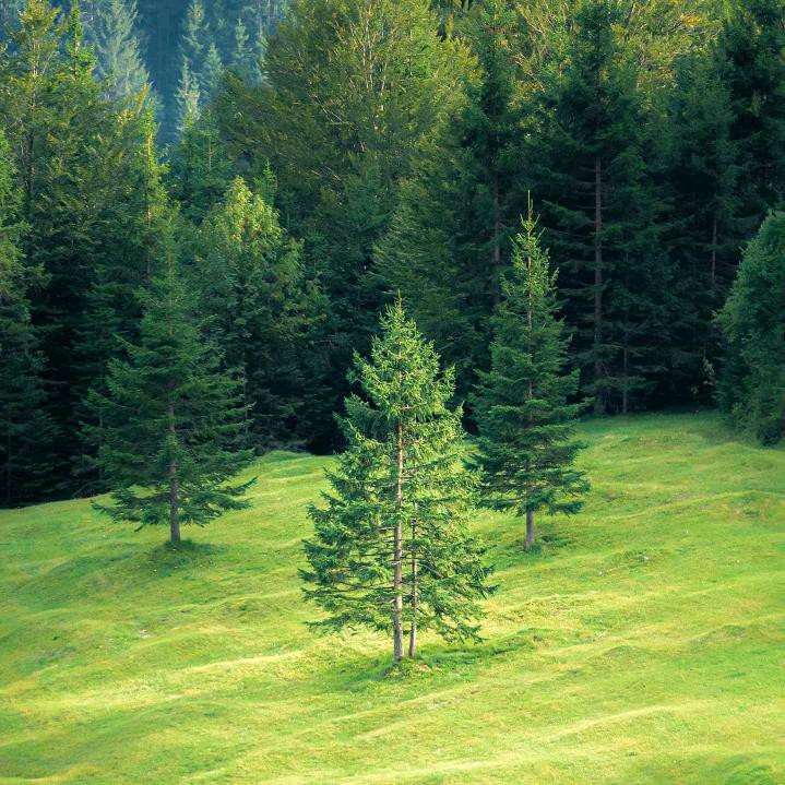 麦香早午餐馆🌮