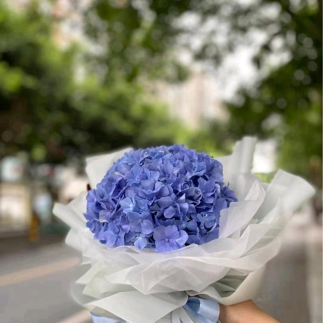 一生向阳♥