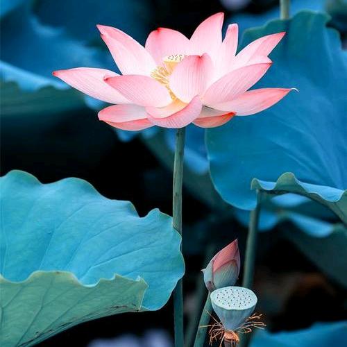 幸福很简单(｡･ω･｡)ﾉ♡