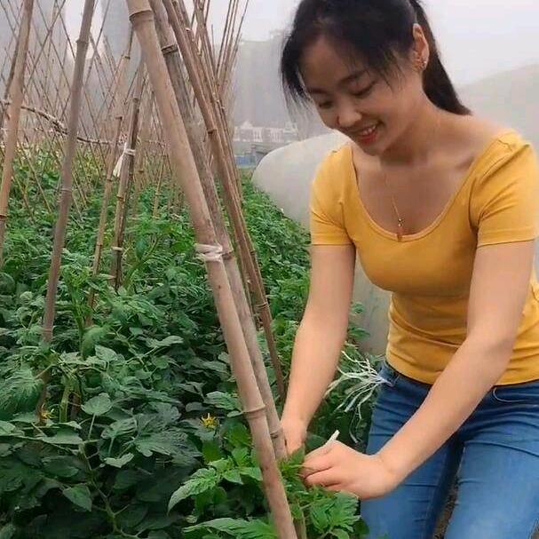 萌萌工厂