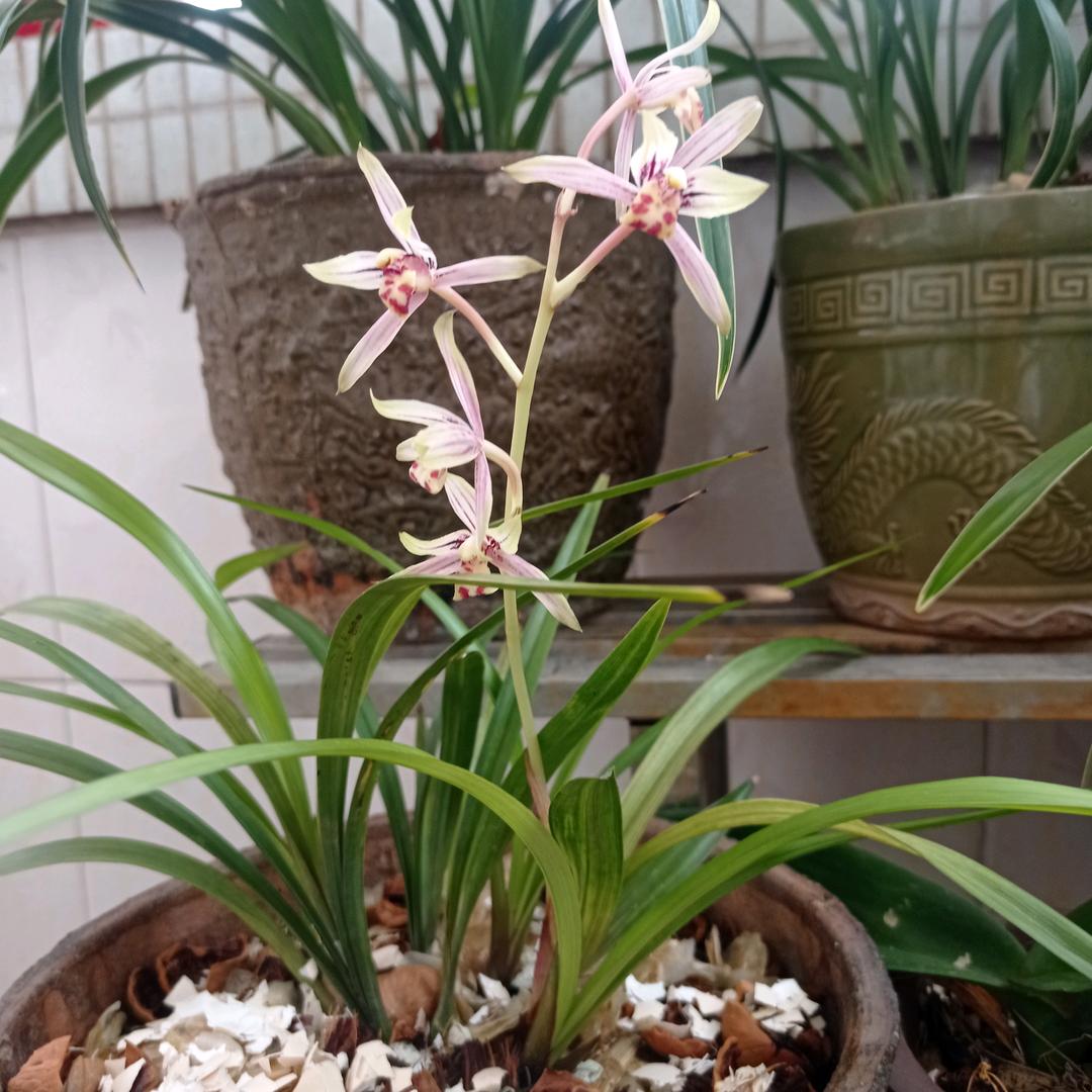 暖温泉
