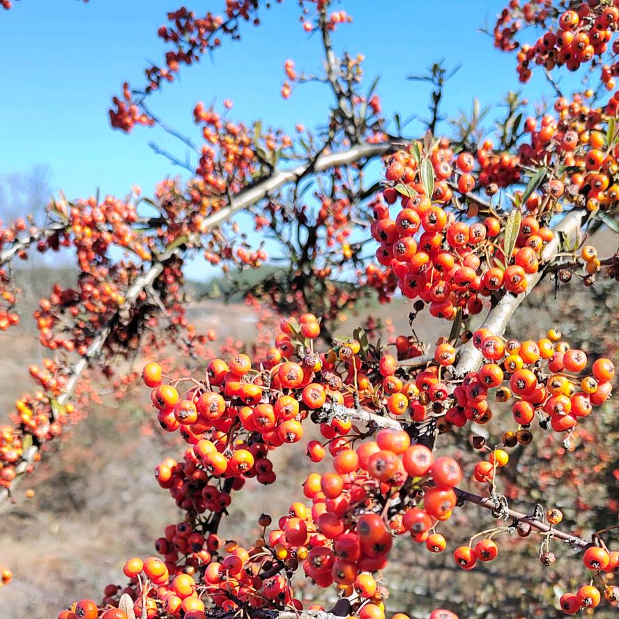 用户匠人2675402799703