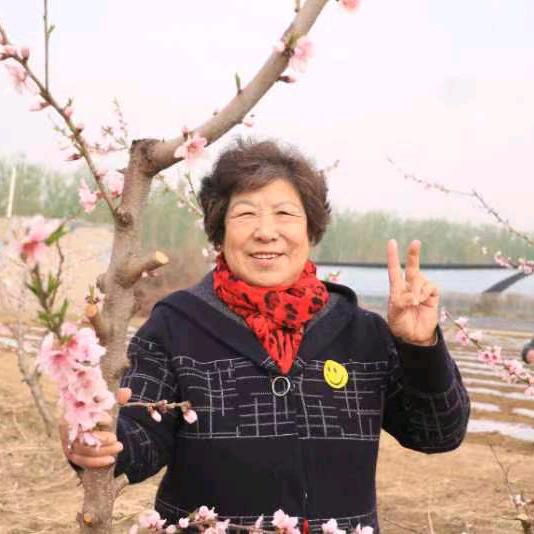杨艳
