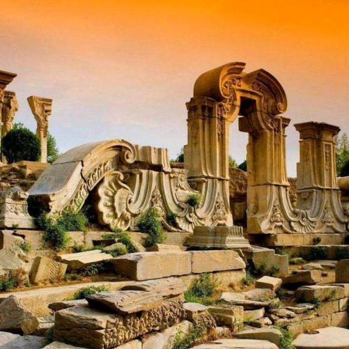 树上果＃#拒私聊＃#