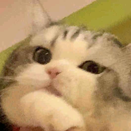 别害怕