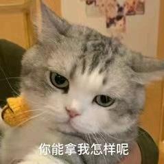 io