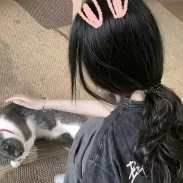 不想熬夜的小懒猫。