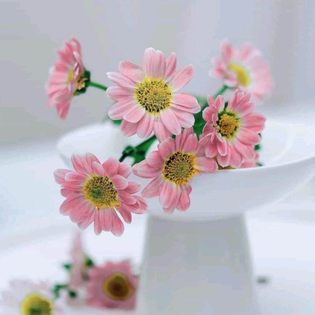 80 后创业小姐姐～吴海艳