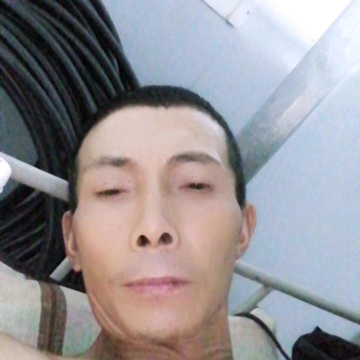 老阳