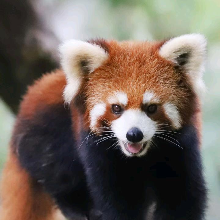 无聊。