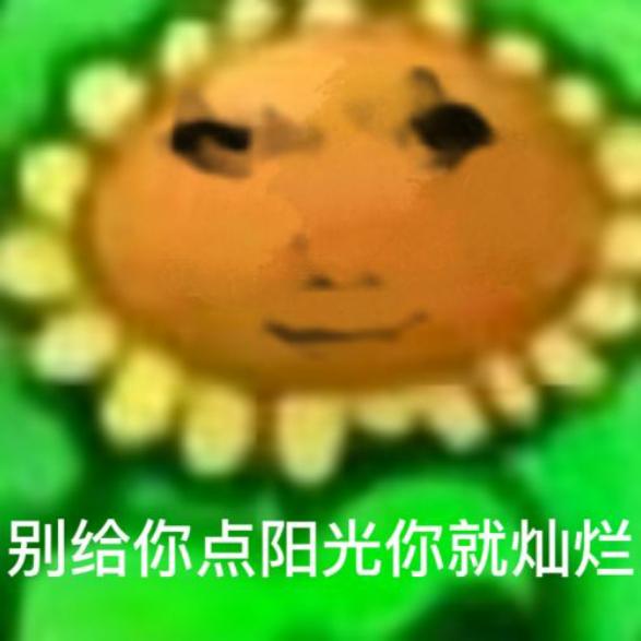 你干嘛哈哈