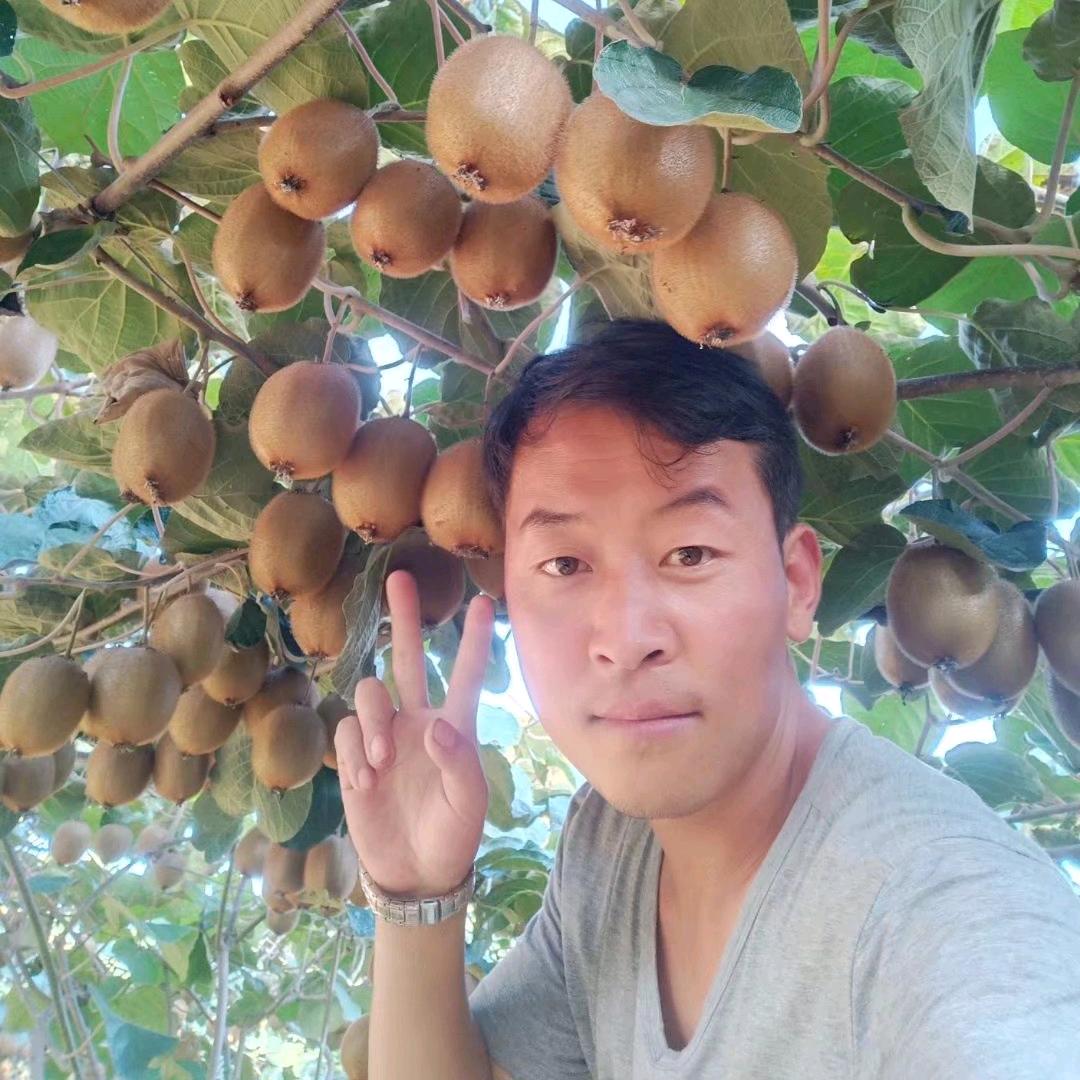 安子哥