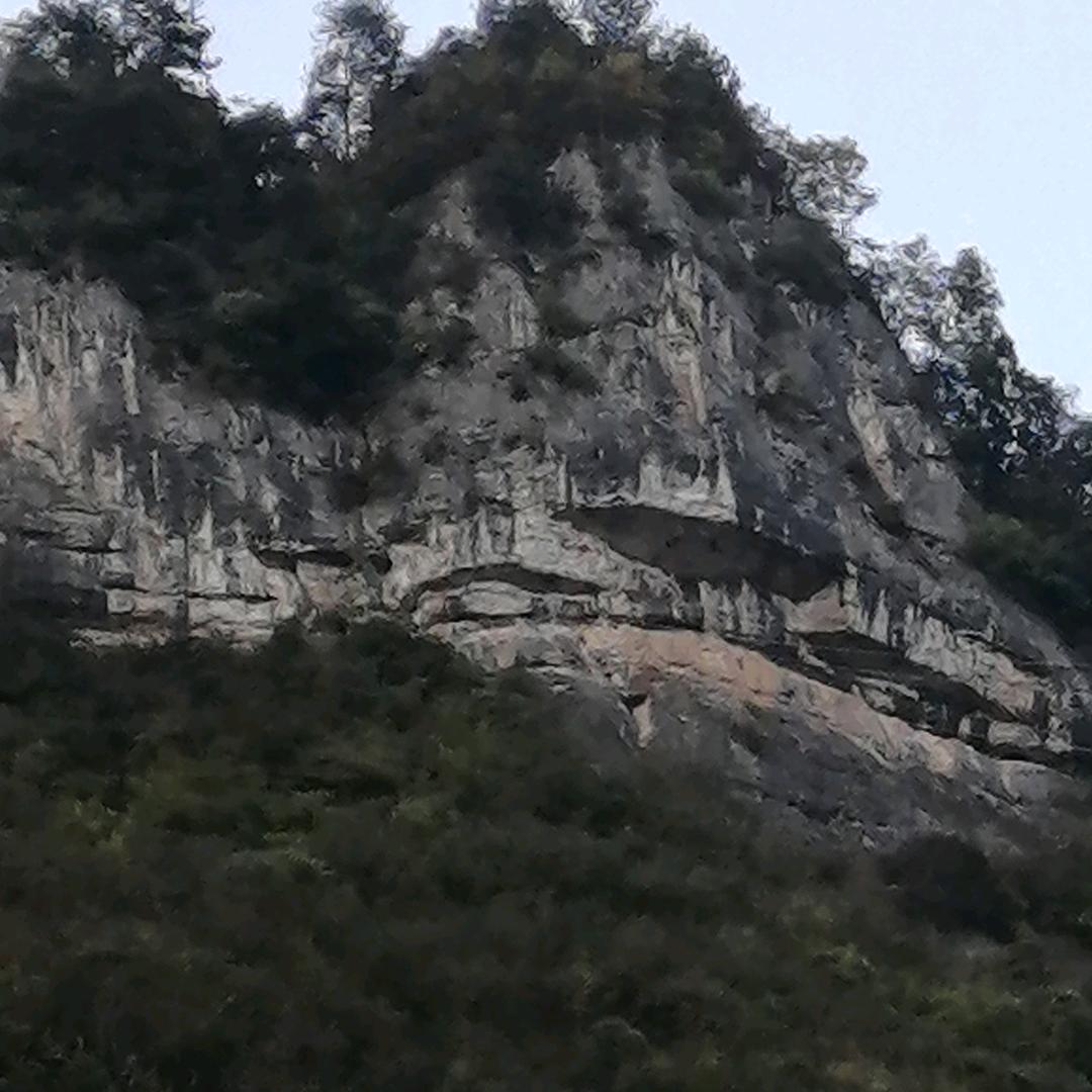 记住我