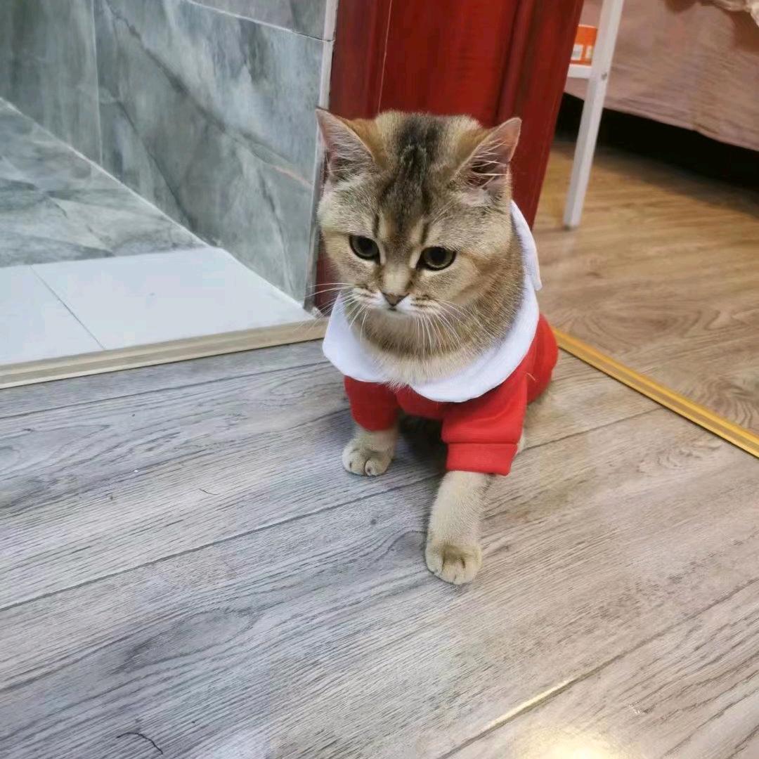 拥抱明天