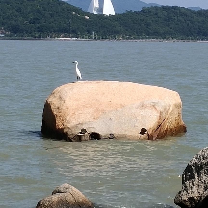 💖余生爱自己💝