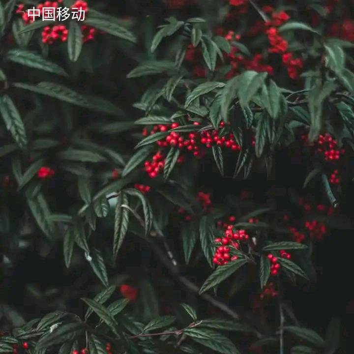 今生有缘，我是一名塔吊司机：单身