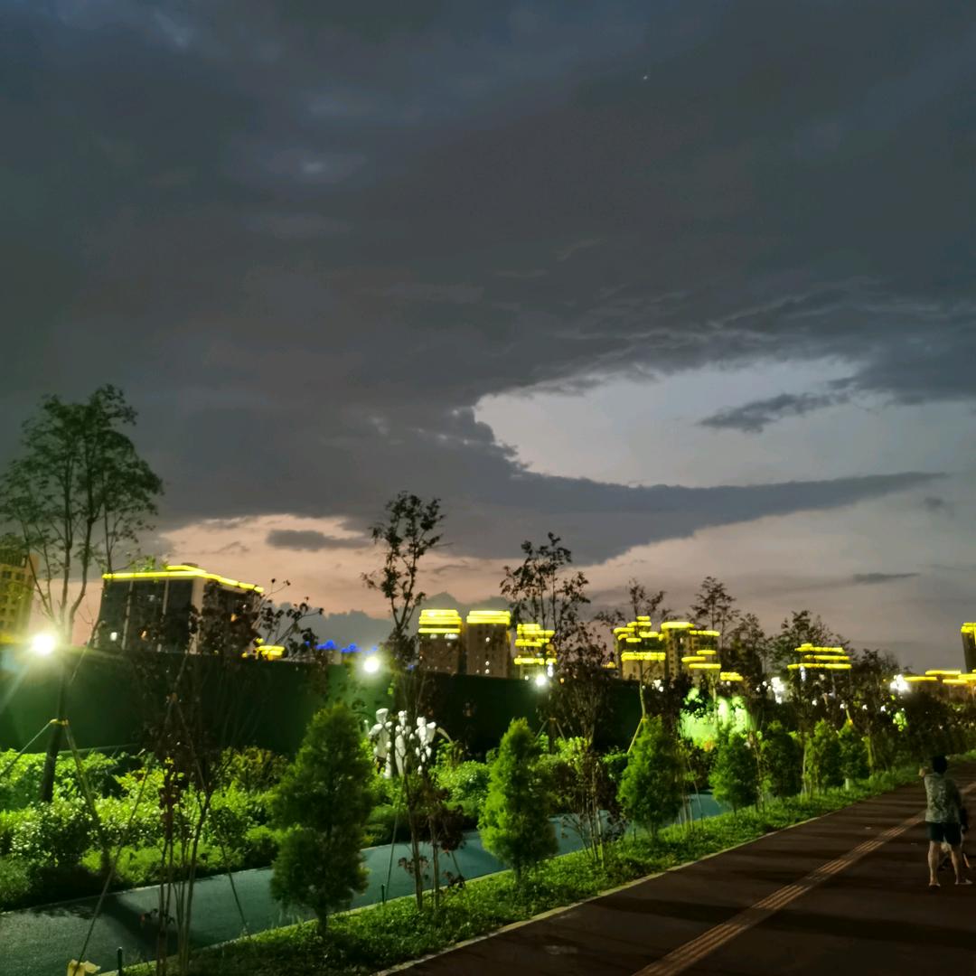 小浣熊