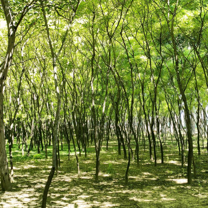 微风吹过我的脸