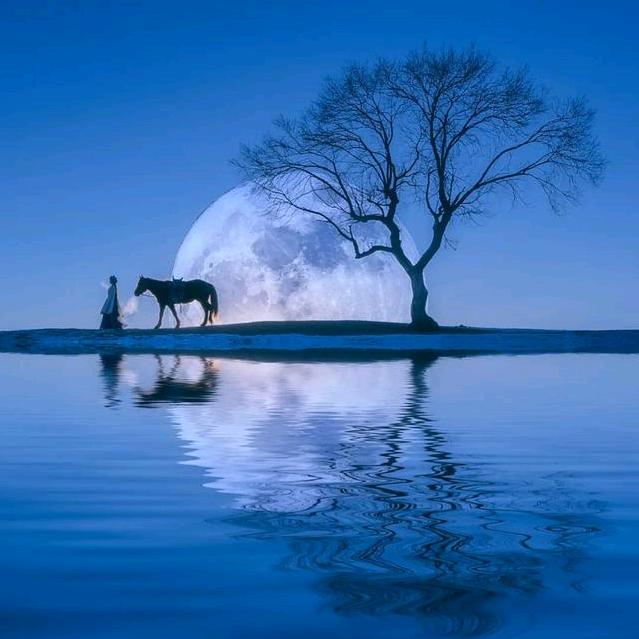 凡晨尽享欢乐时光