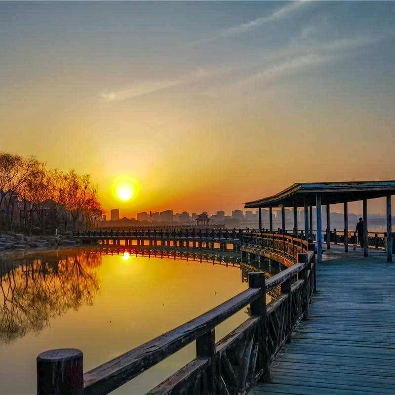 浙江鑫谷人造草坪，仿真绿植工厂