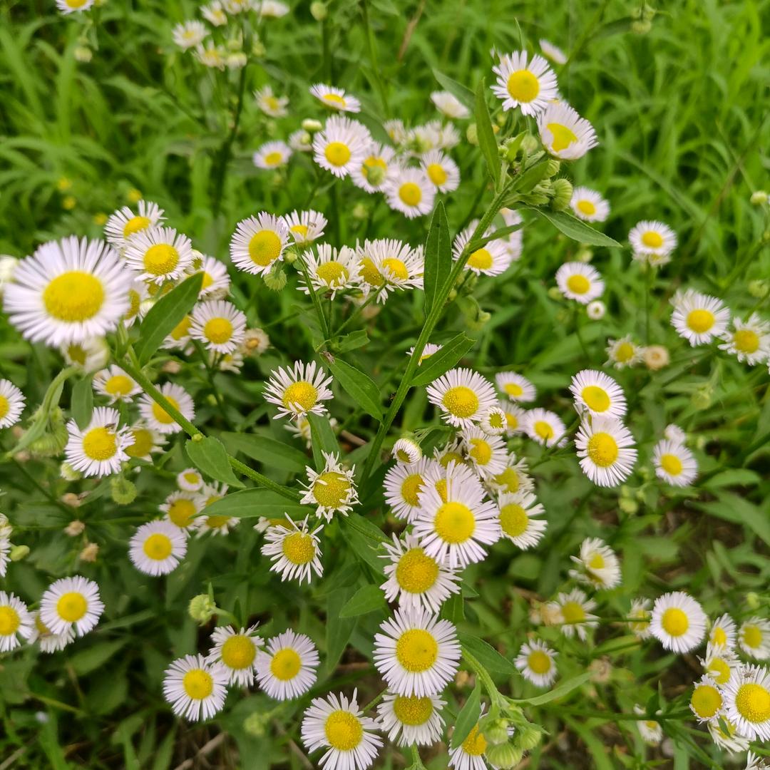 金宸便利店，今晨鲜果