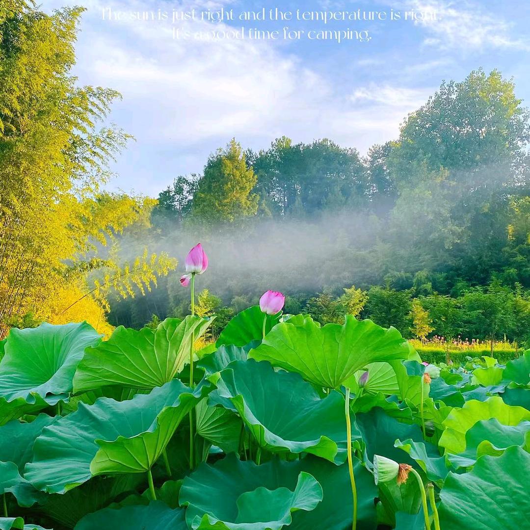 风儿