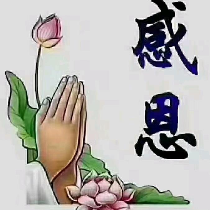 运满乾坤