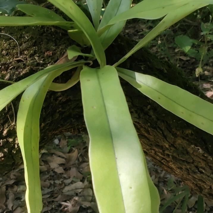 孤身一人走天涯。