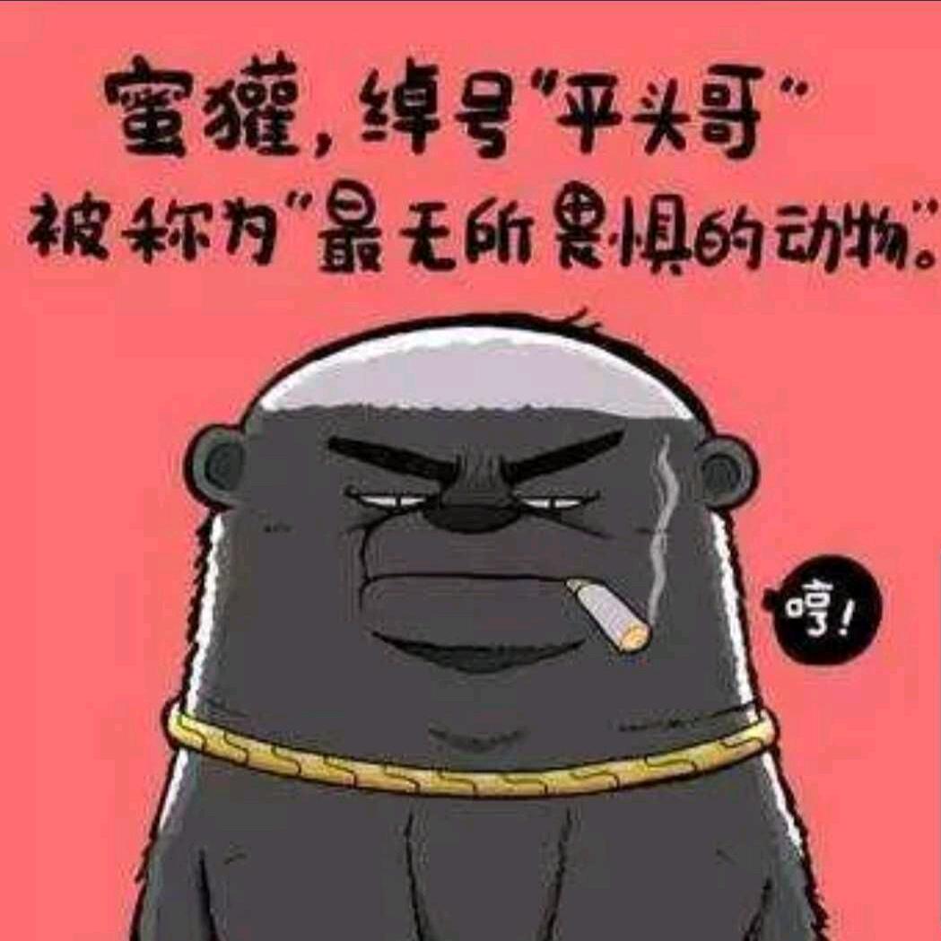 爹地
