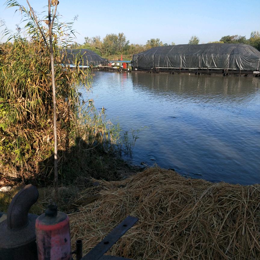 石篓就是第二个缅北