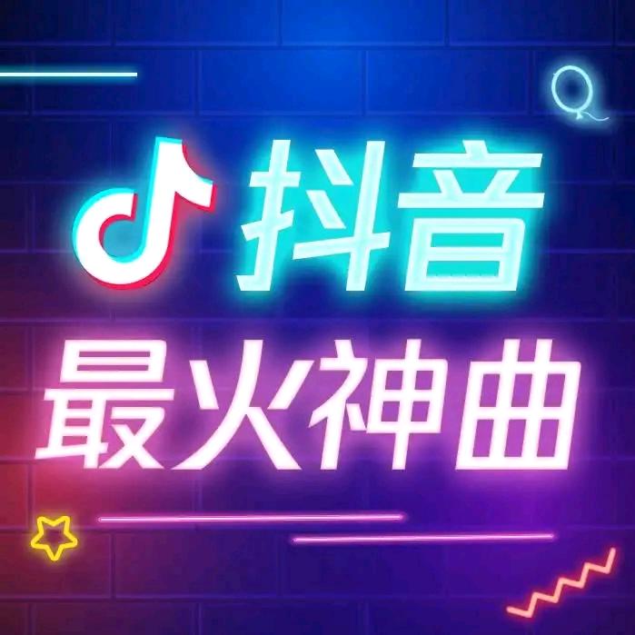 随风去流浪