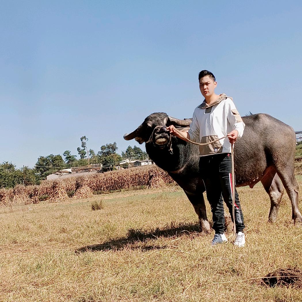 得闲公司～少帅