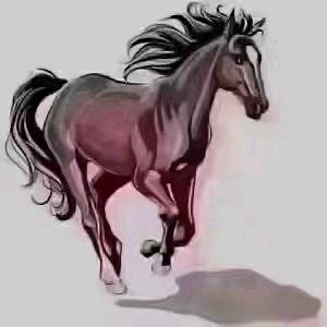 你♥粉红色的回忆