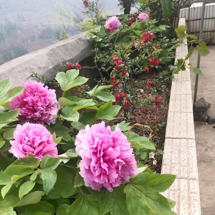 任性姐