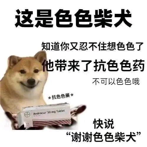 树先生