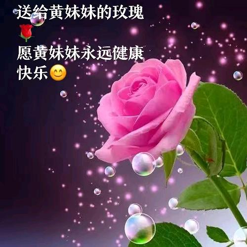 天赋吉運可爱兔子🐰黄妹妹