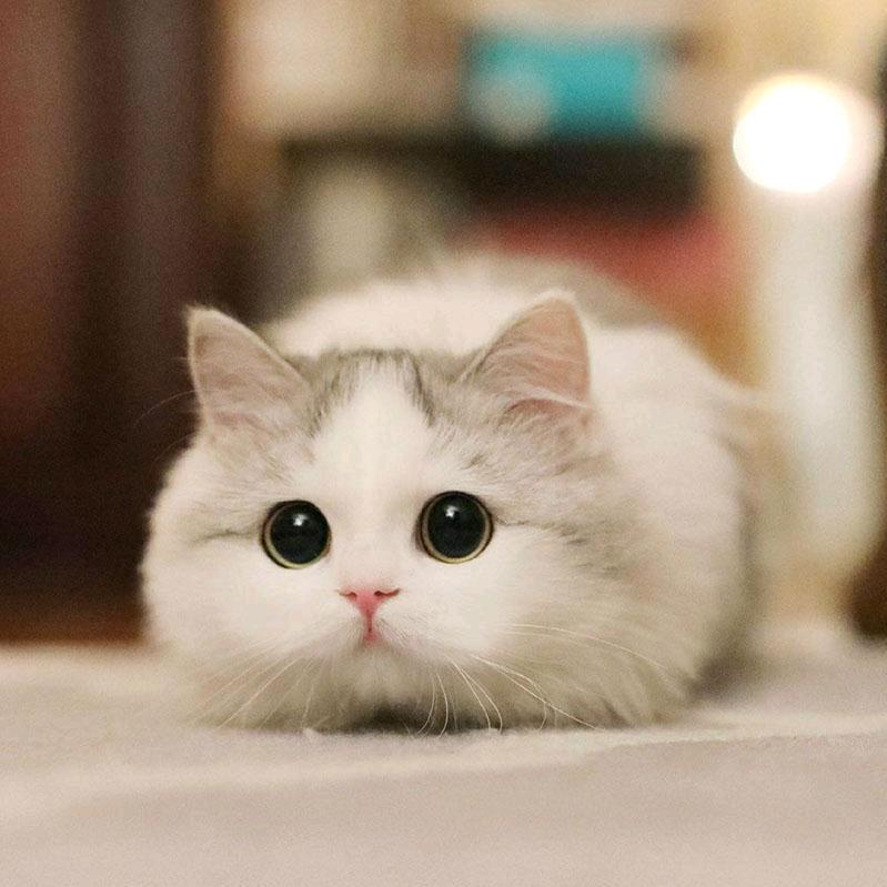 ☆↘尛の潴