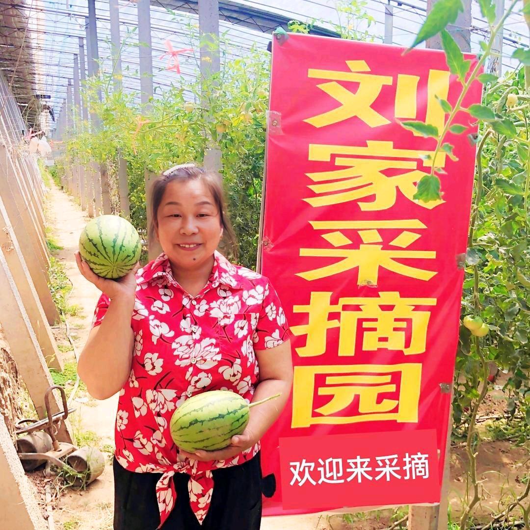 周村刘家家庭农场