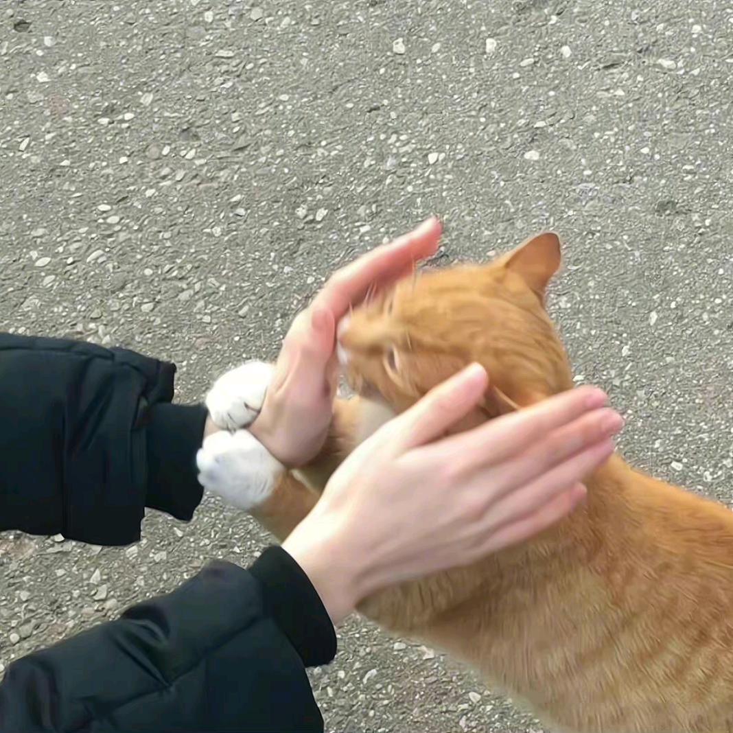 穹奇互联