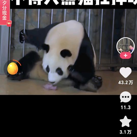 用户9085920128613