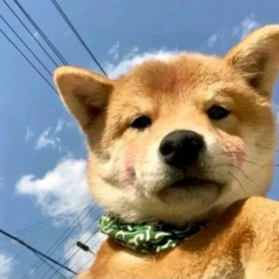 二狗她妈